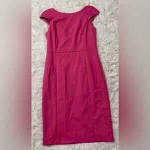 NEW Banana Republic Barbiecore Career Pink Sheath Dress Corporate Business 12 L